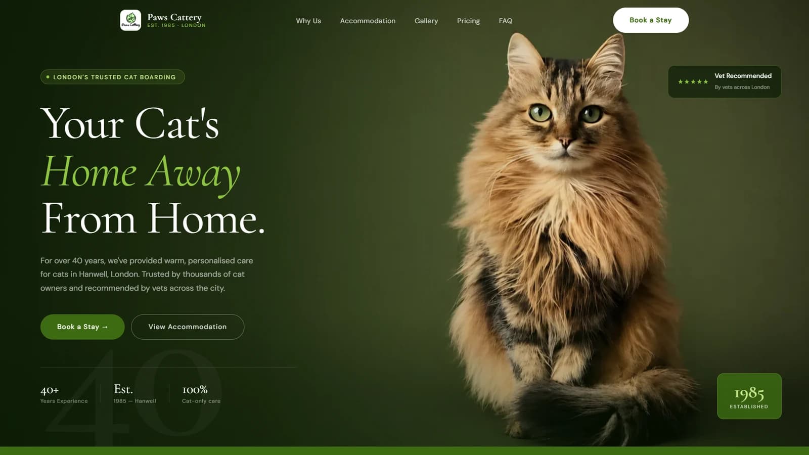 Typography & Interactive Concept